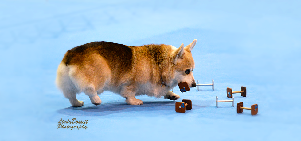 LDossett Photography