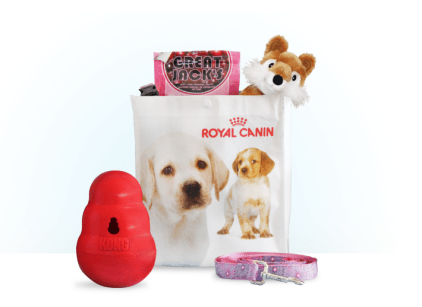 Capture d’écran 2016-06-10 à 10.00.28