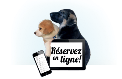 Réservez en ligne!