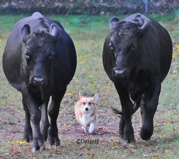 She take very nice photo.. www.scjgraphics.net