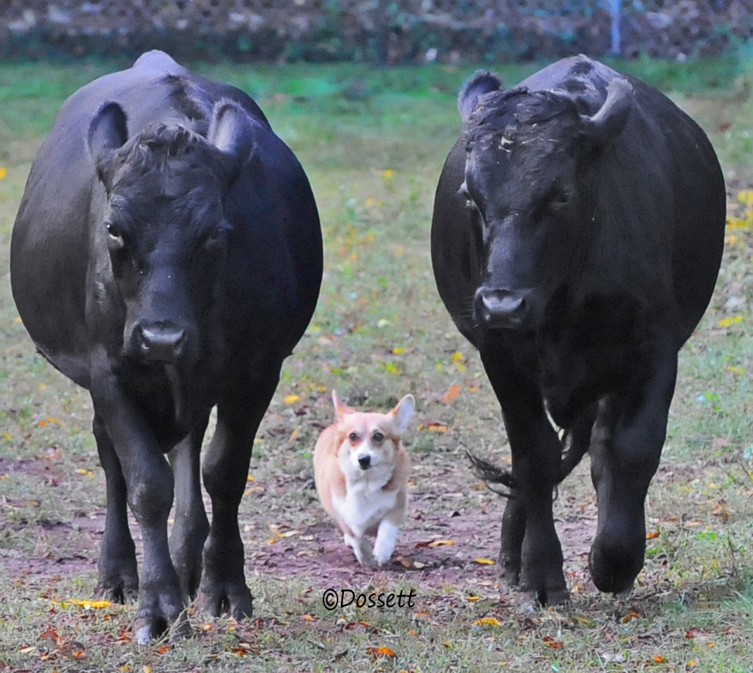 She take very nice photo.. www.scjgraphics.net