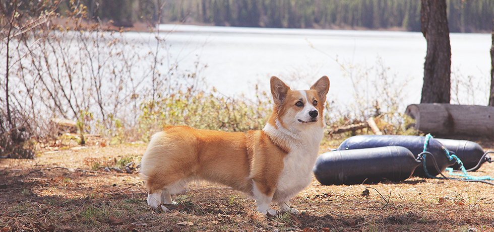 Banniere_Accueil-Kate_03