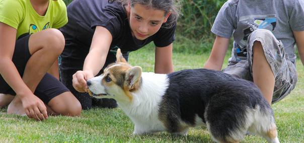 Banniere_Accueil-kids_03