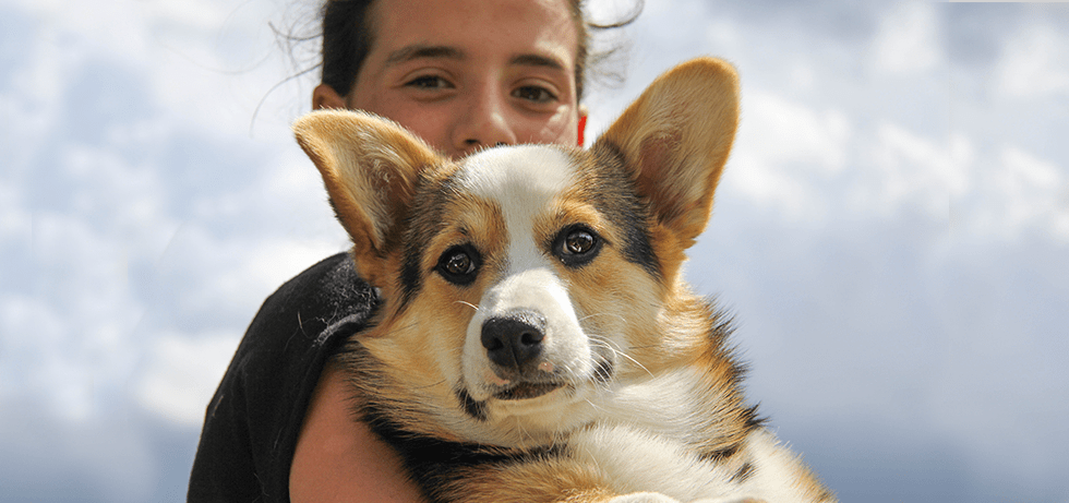 Banniere_Accueil-Mymy_03