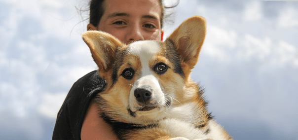 Banniere_Accueil-Mymy_03