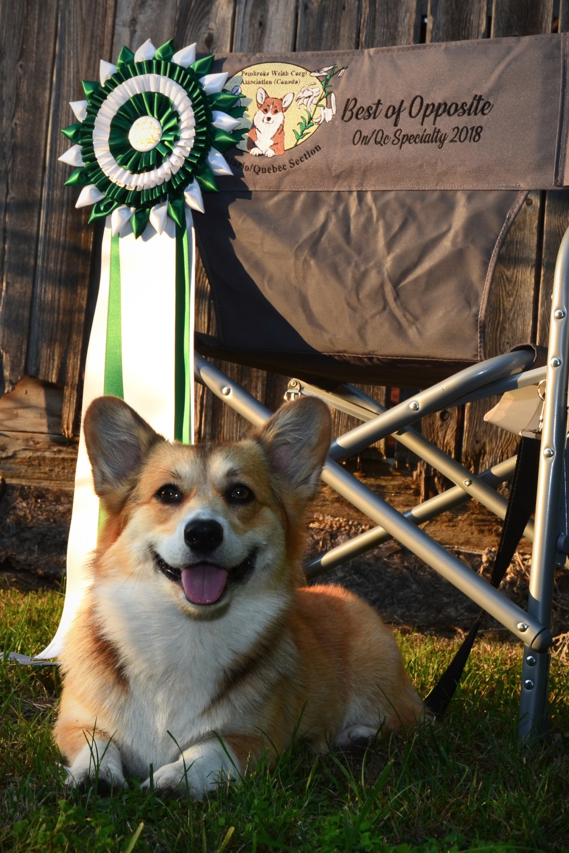 Eden Specialité Terrebonne 2018 BOS